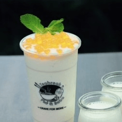 S11. Yogurt Freeze
