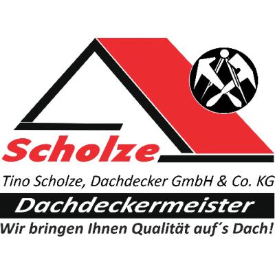 Logo von Tino Scholze Dachdecker GmbH&Co.KG