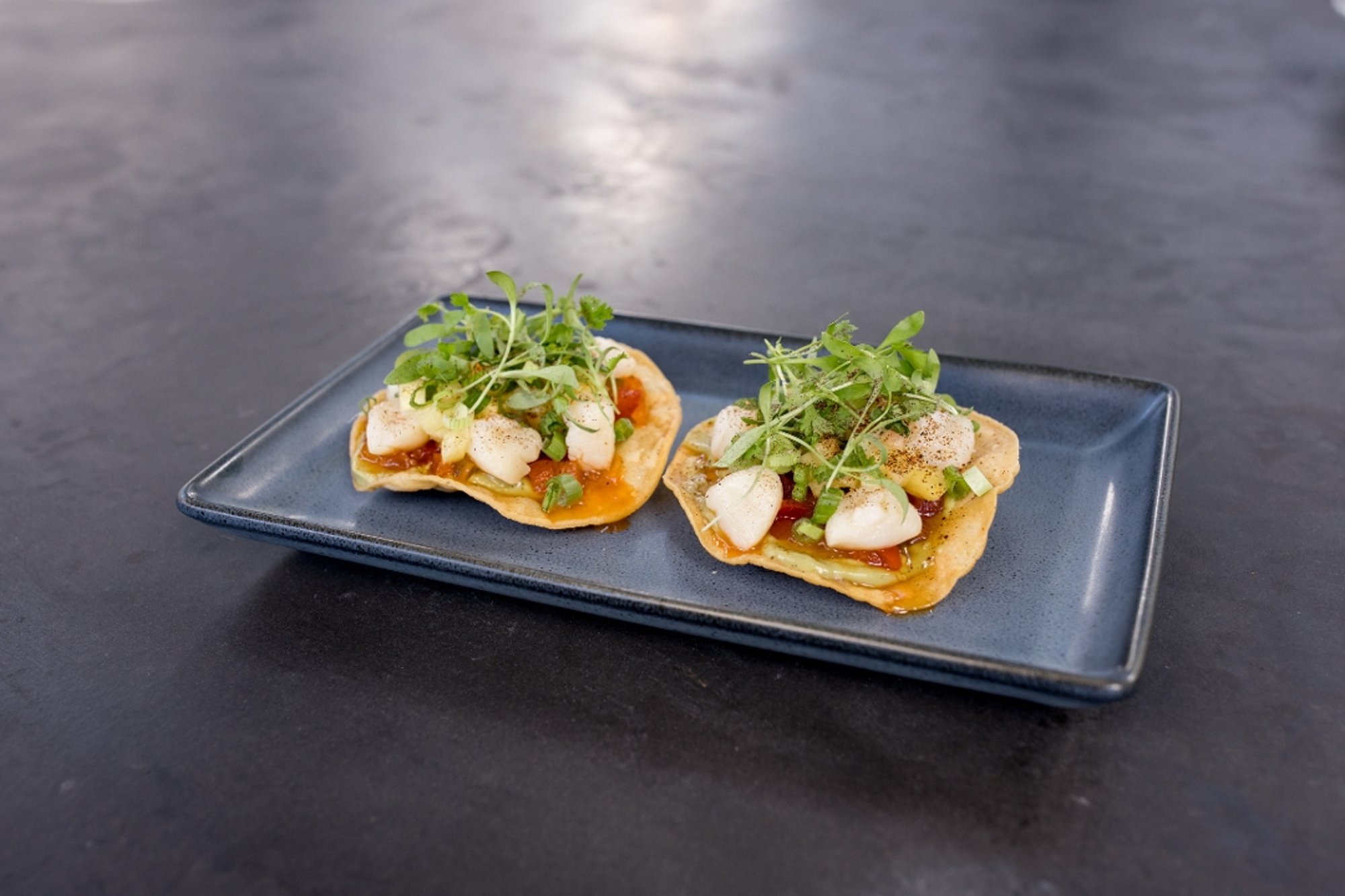 Bay Scallop Tostada