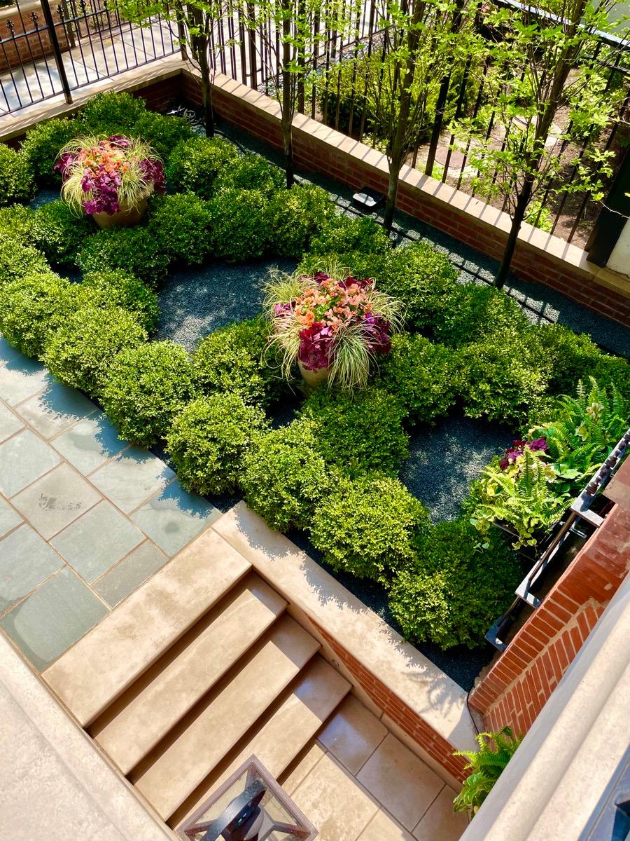 Botanical Concepts Chicago Image