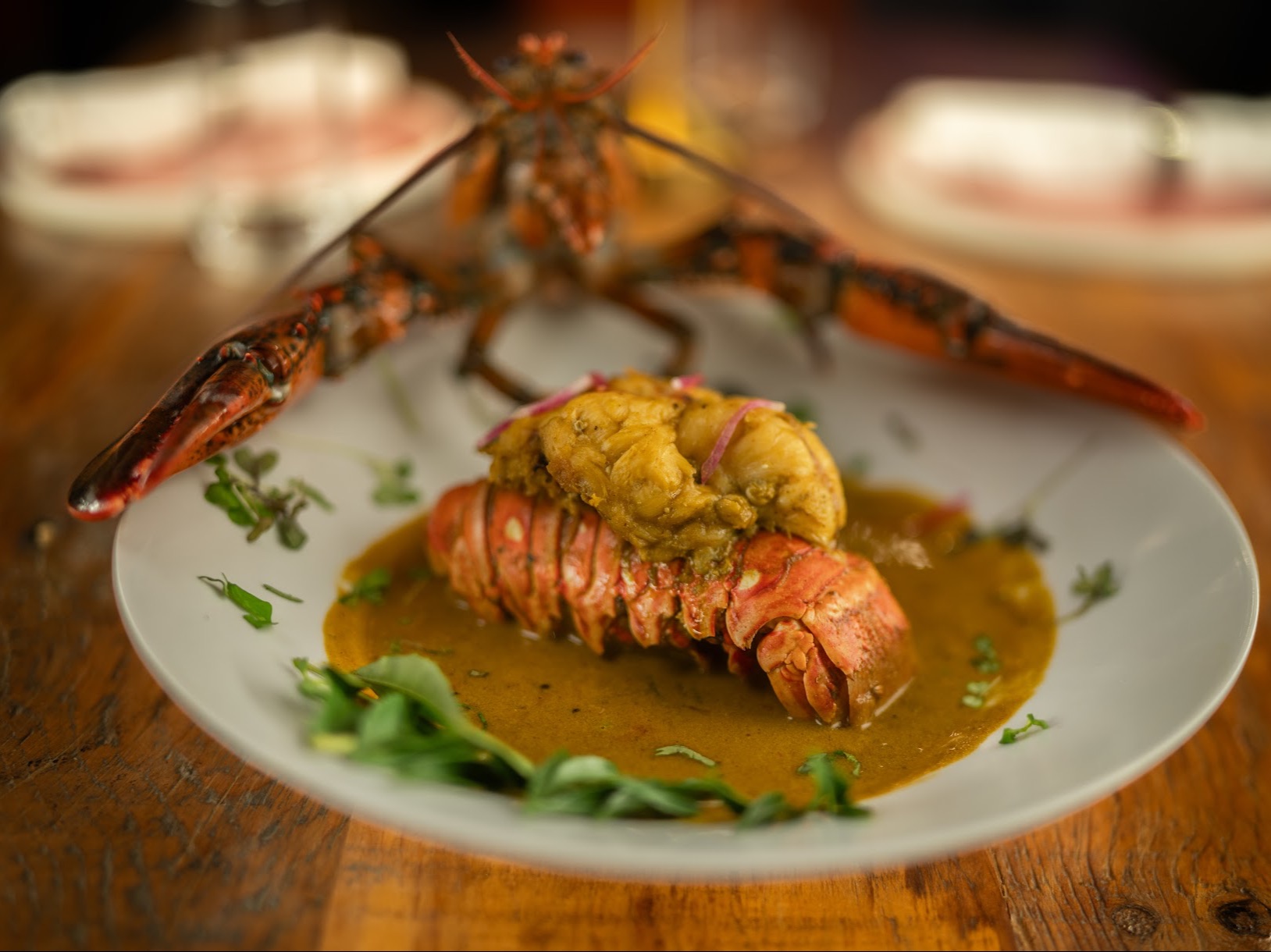 Agri Koli Lobster