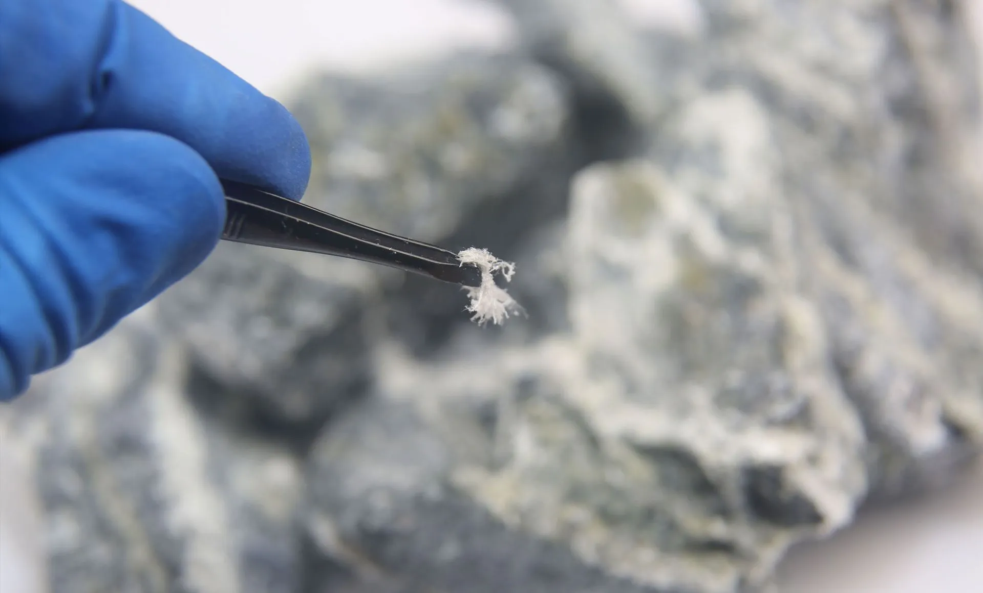 Asbestos Testing Services