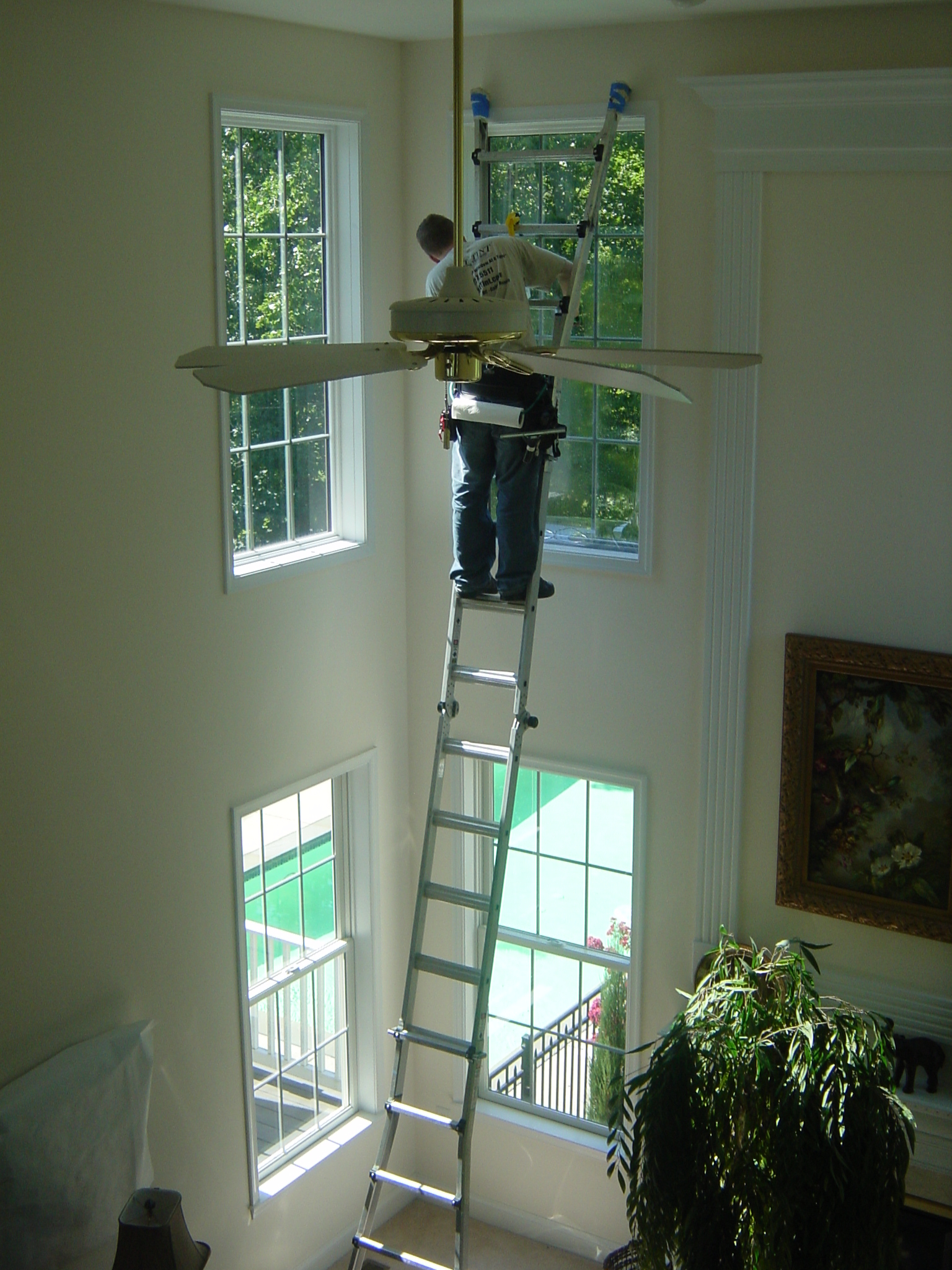 Xlnt Tint of Mid Atlantic Photo