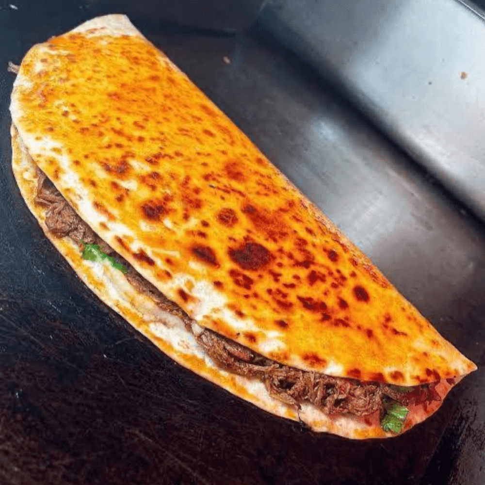 BIRRIA QUESADILLA