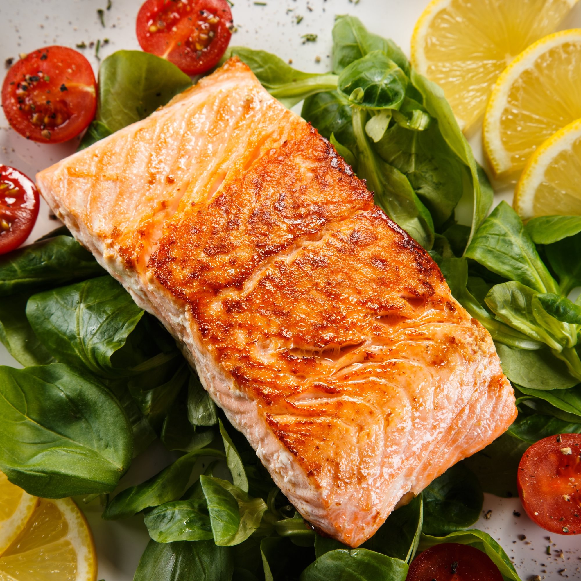 Salmon