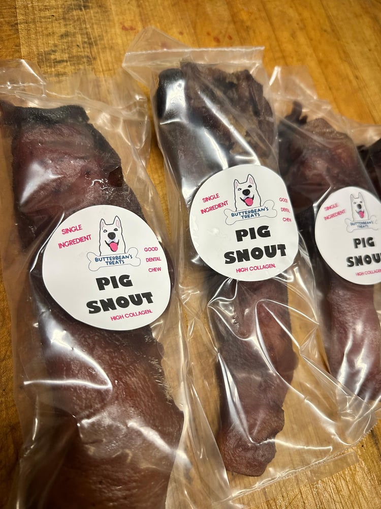 Pig Snout