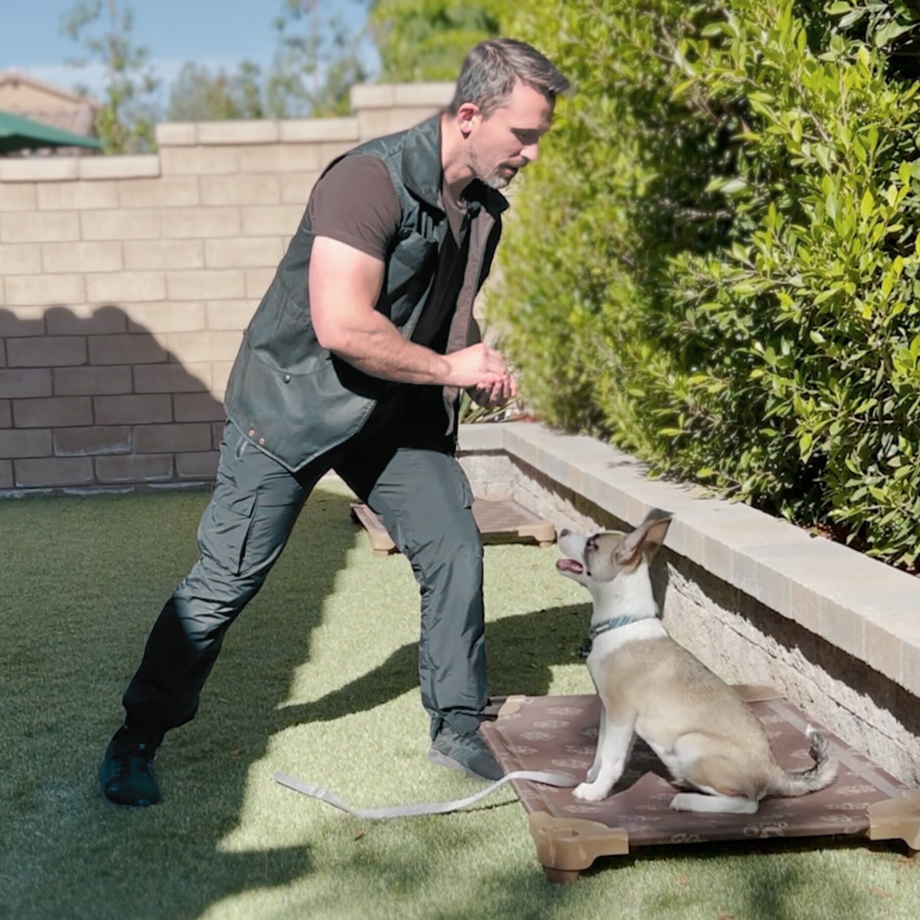 Nate Schoemer Dog Training Image