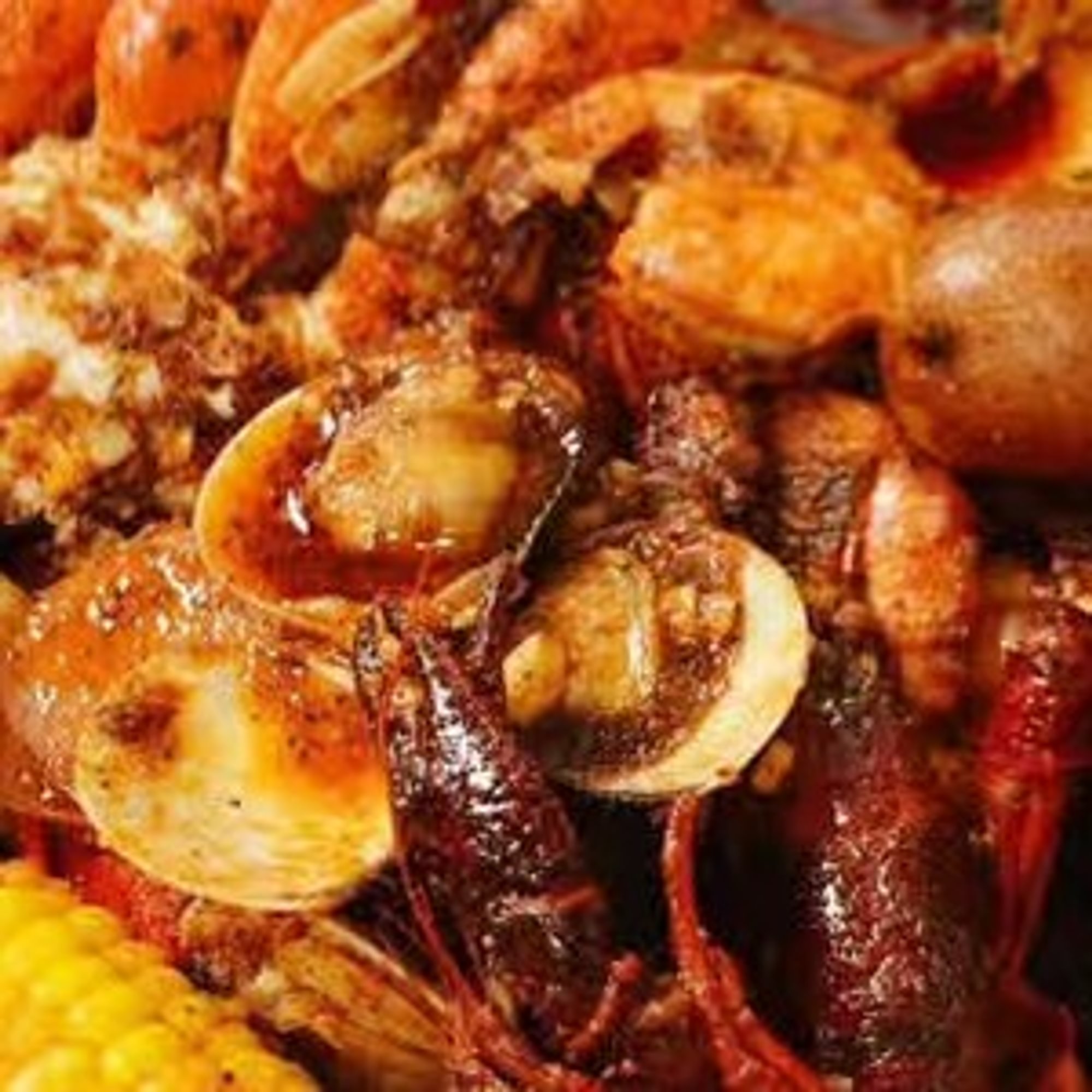 Head-on Shrimp