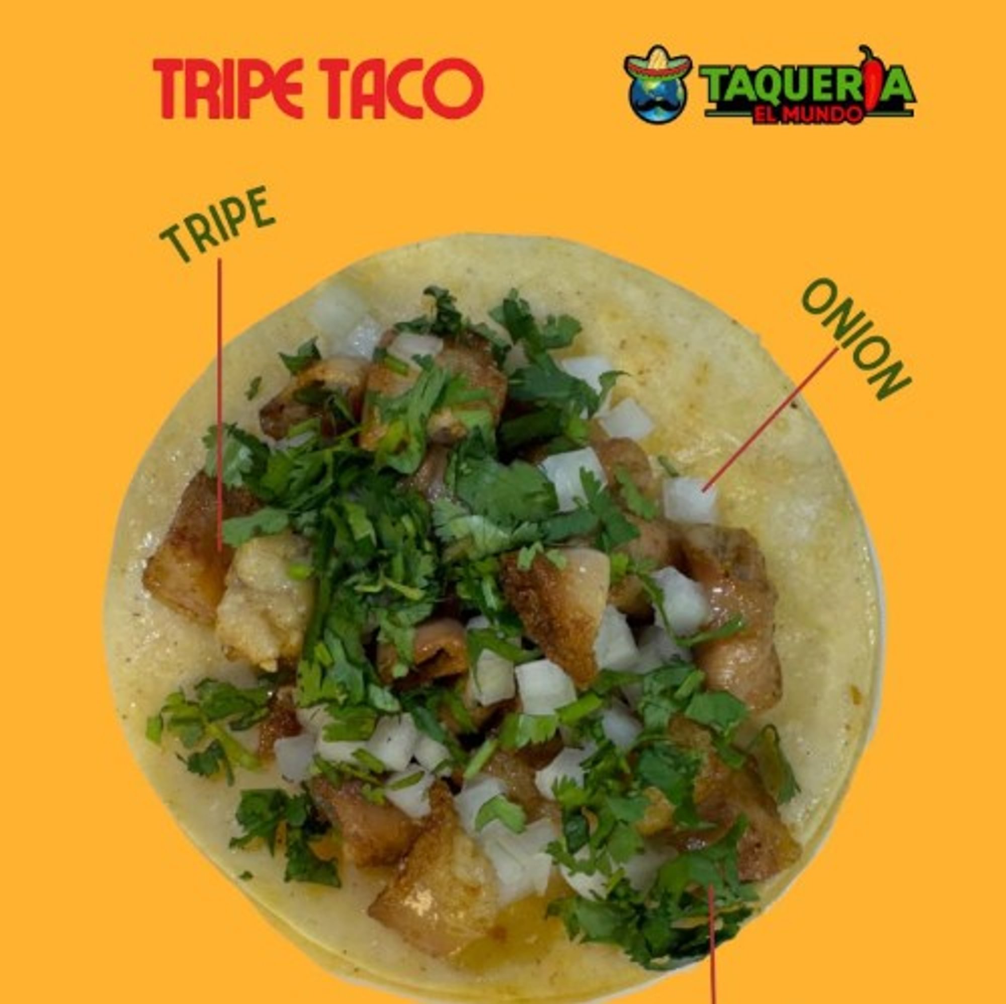 Tripe Tacos