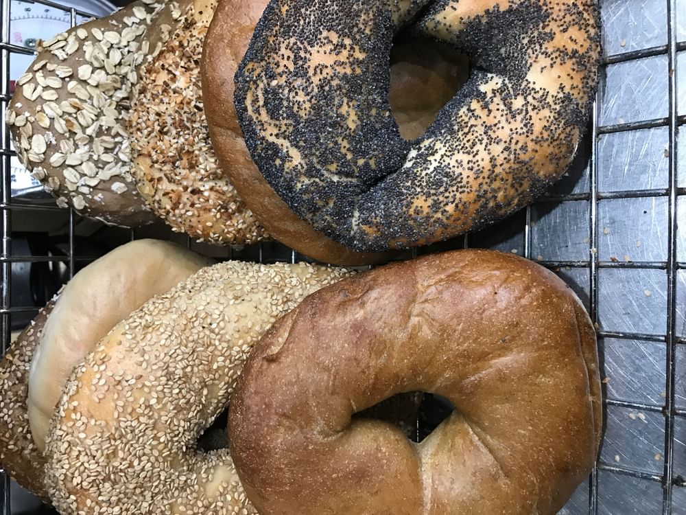 Flat Bagel
