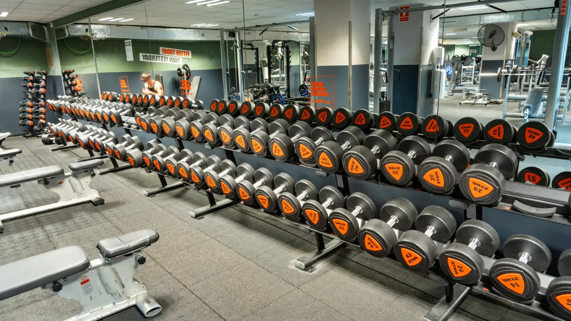 Galería en miniatura