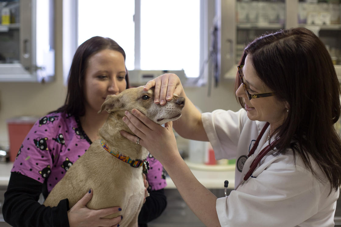 White Oak Veterinary Clinic Photo