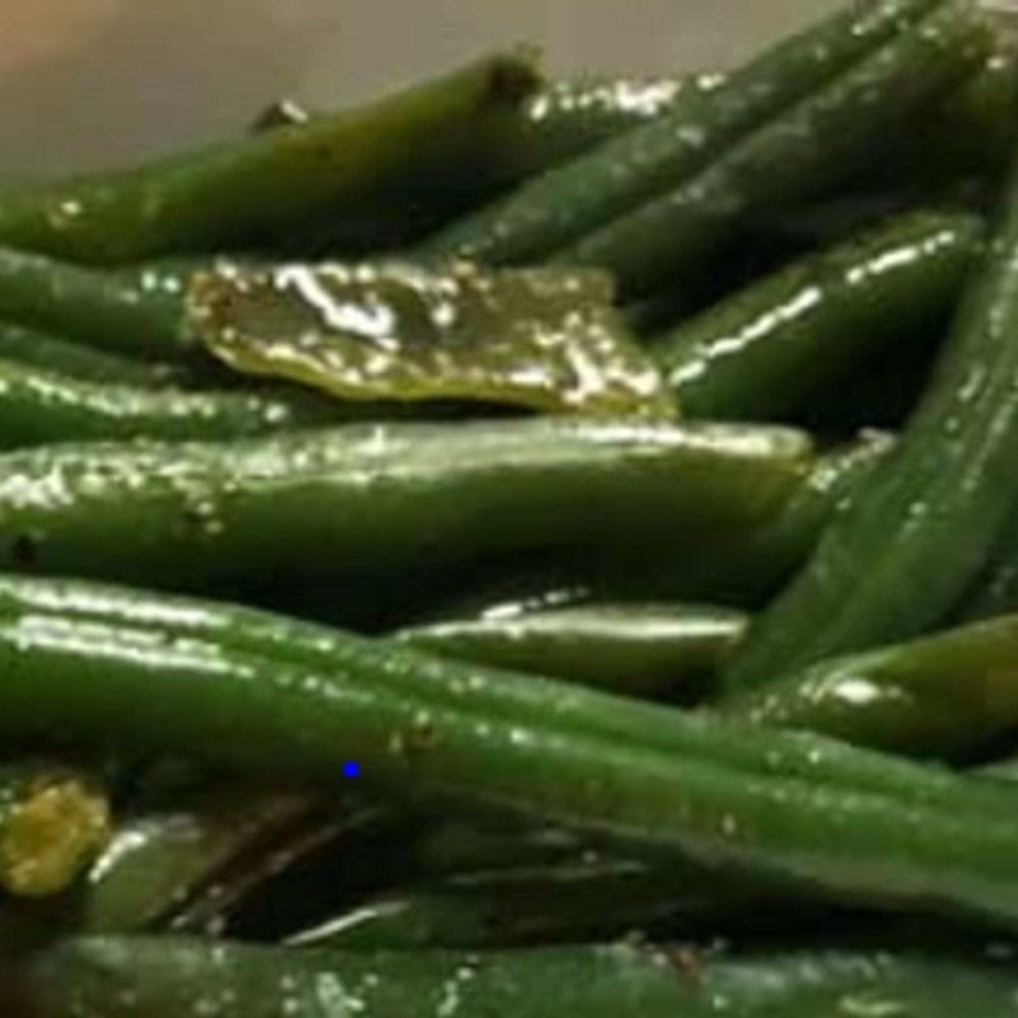 Green Beans with Almonds and Cranberries