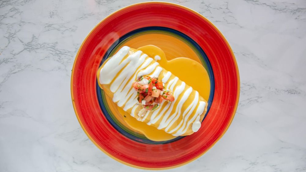 Chicken chimichanga