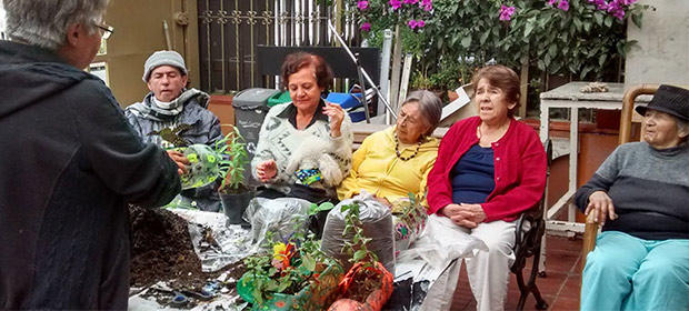 Galería en miniatura