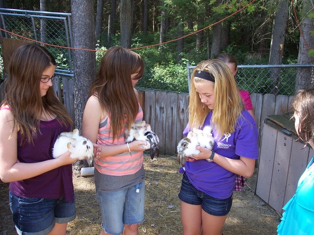 Images Whitefish / Kalispell North KOA Holiday