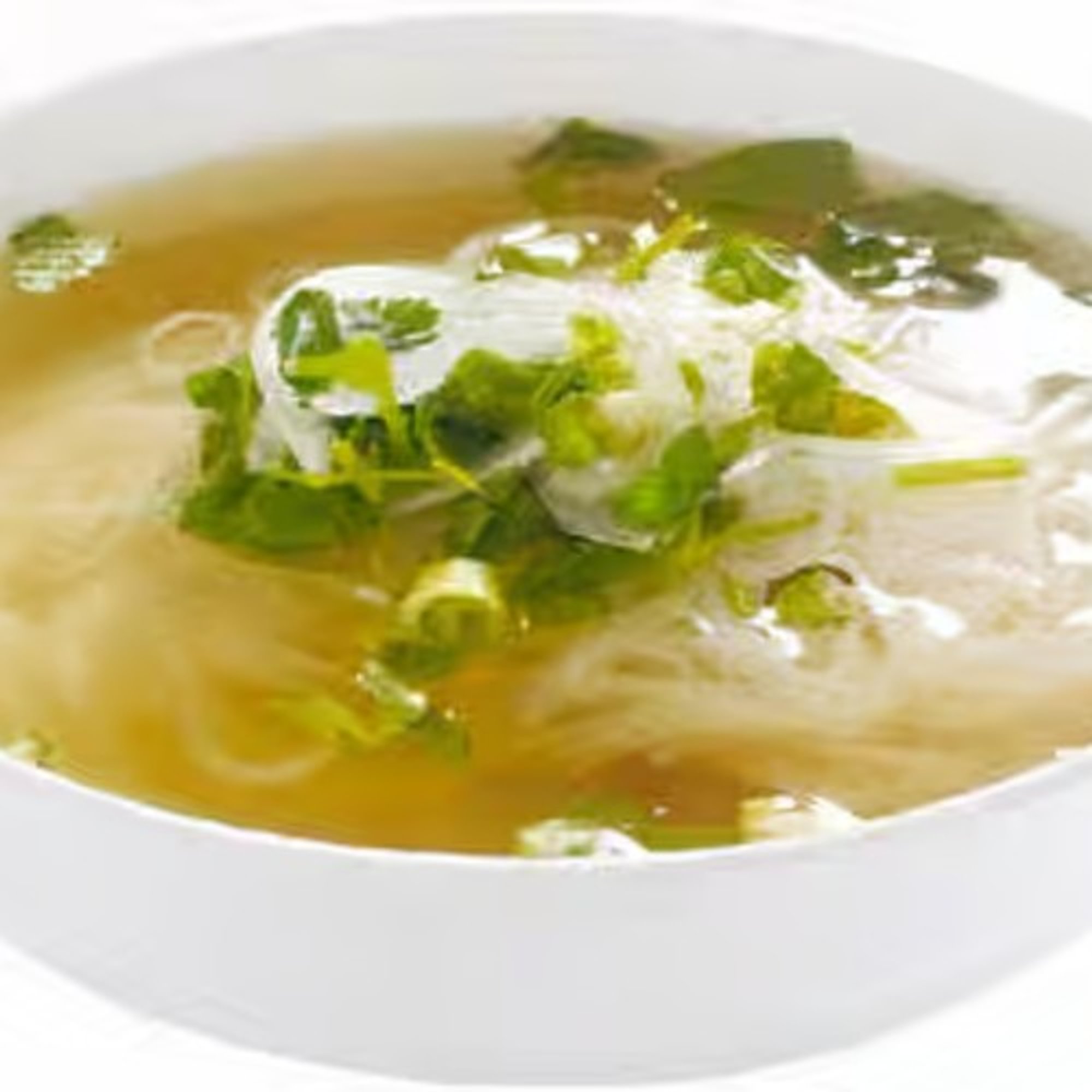 M25 Plain Noodle