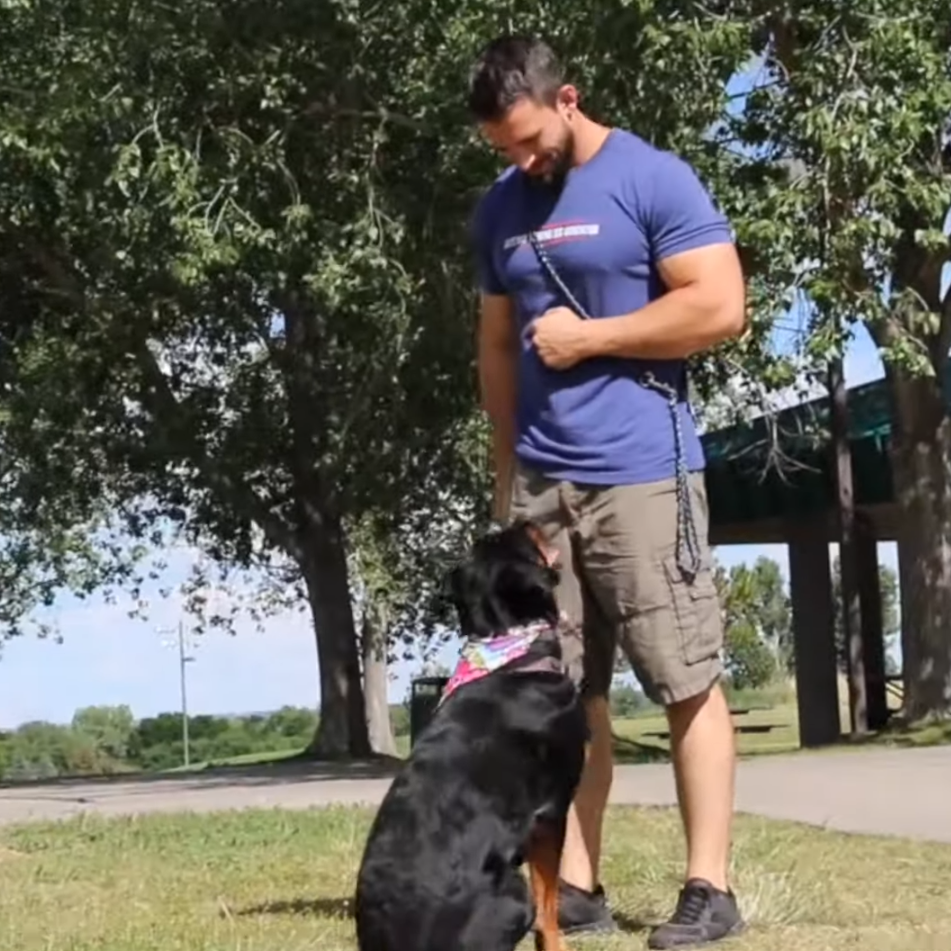 Nate Schoemer Dog Training Image