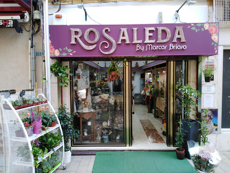 Galería en miniatura