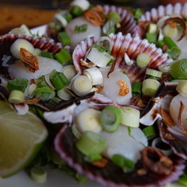 Scallops on the Half Shell (6)
