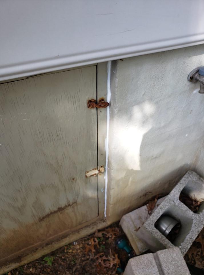 Modern Pest Solutions