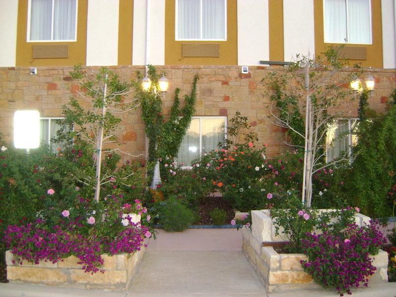 Images Best Western Plus Blanco Luxury Inn & Suites