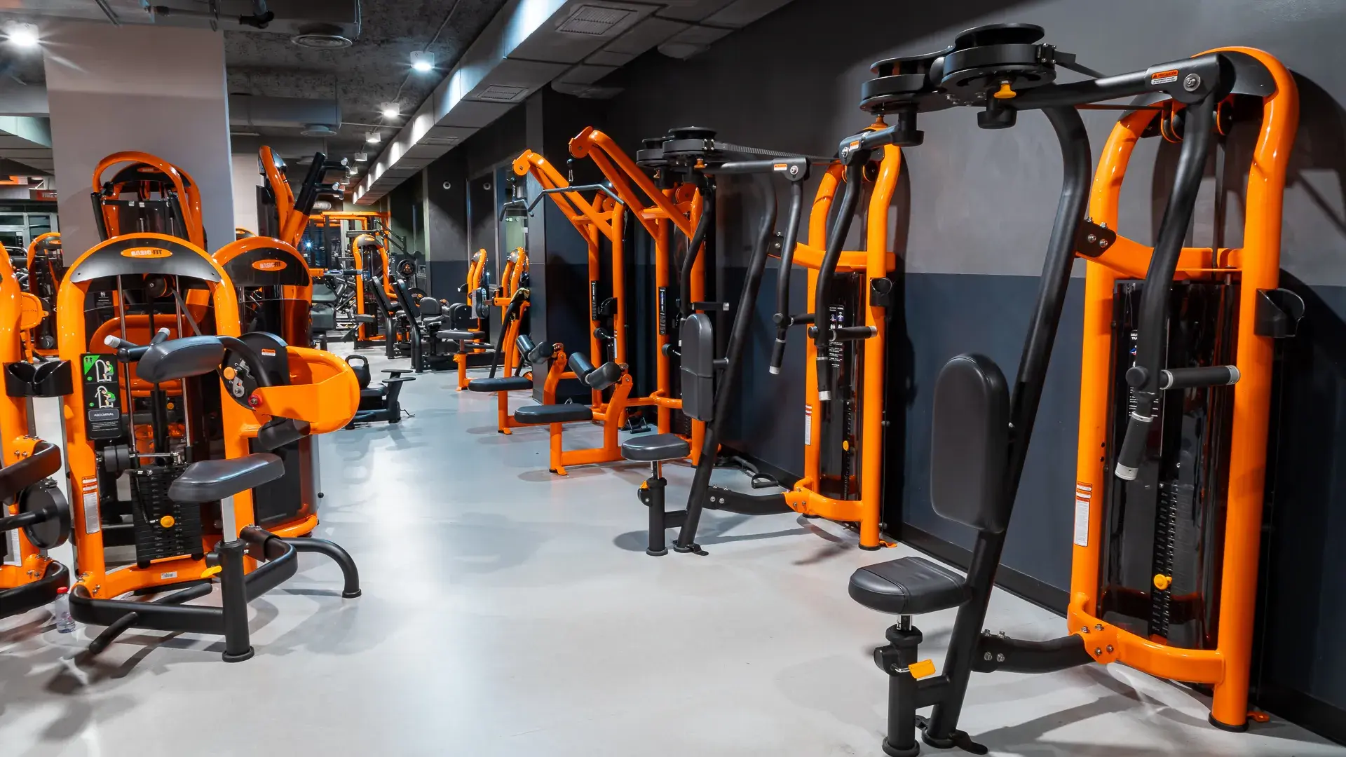 Galería de imágenes