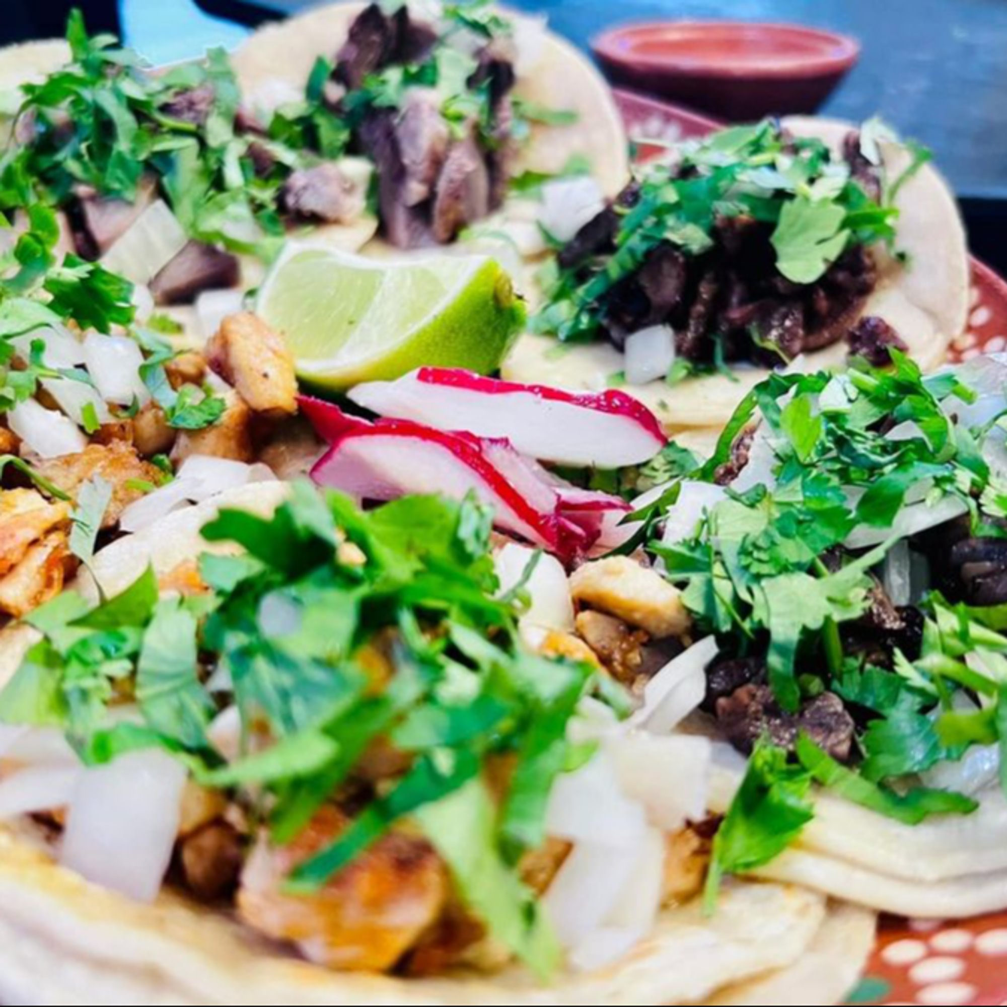 Taco