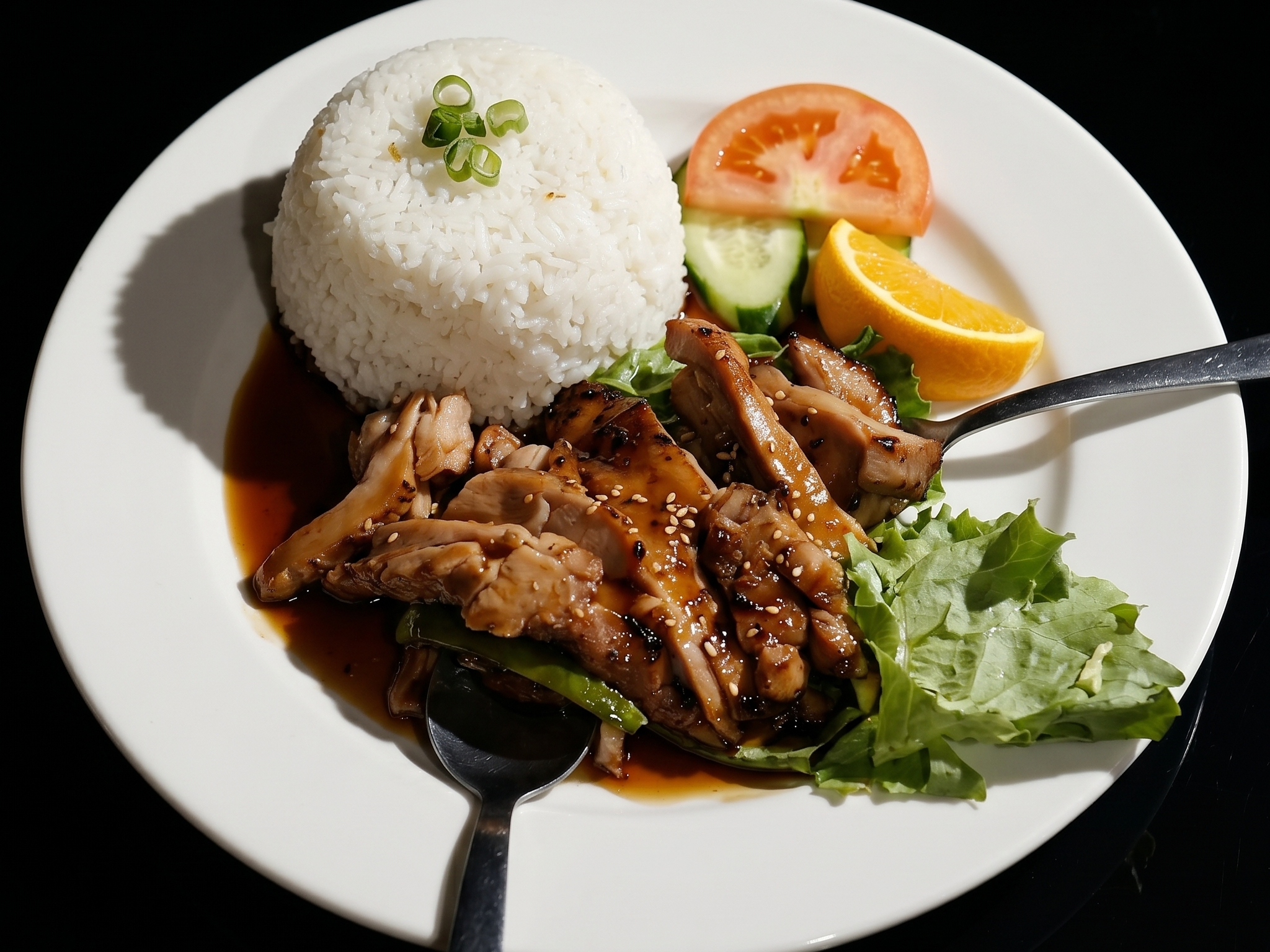 E10.Teriyaki Chicken