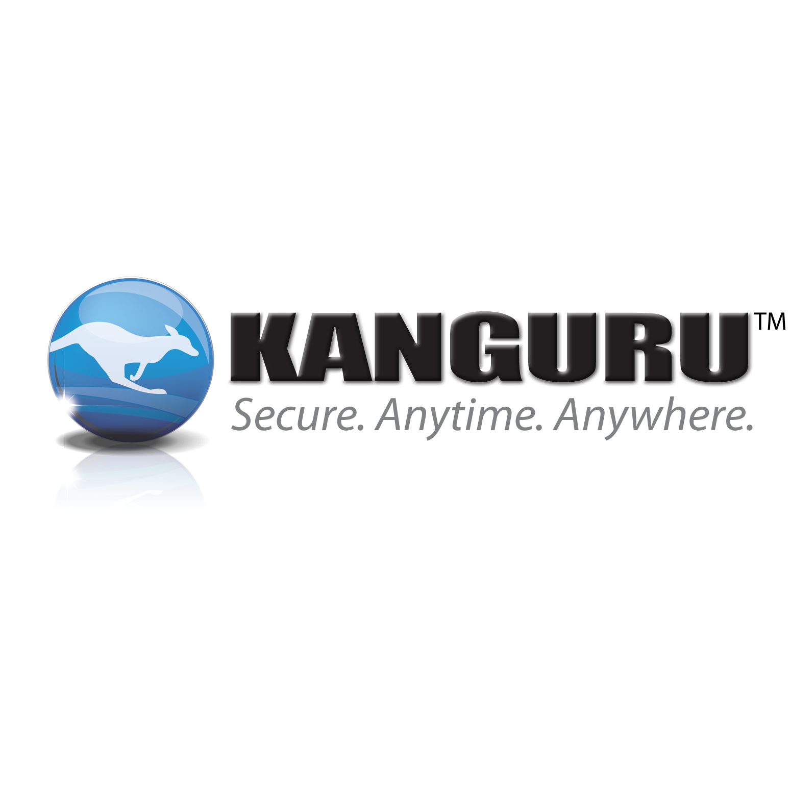Kanguru Solutions Logo