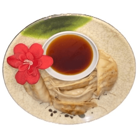 Gyoza (5)