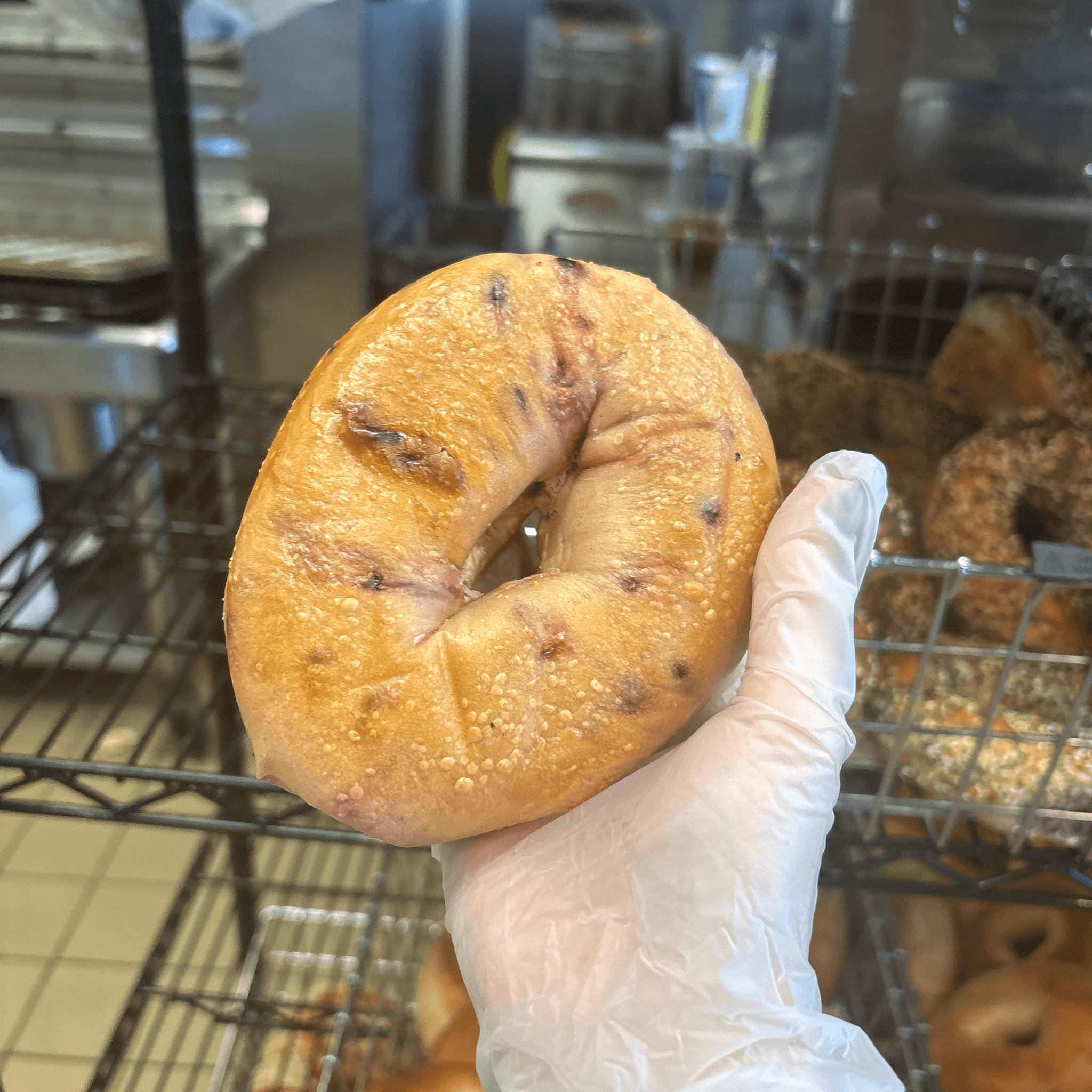 Blueberry Bagel