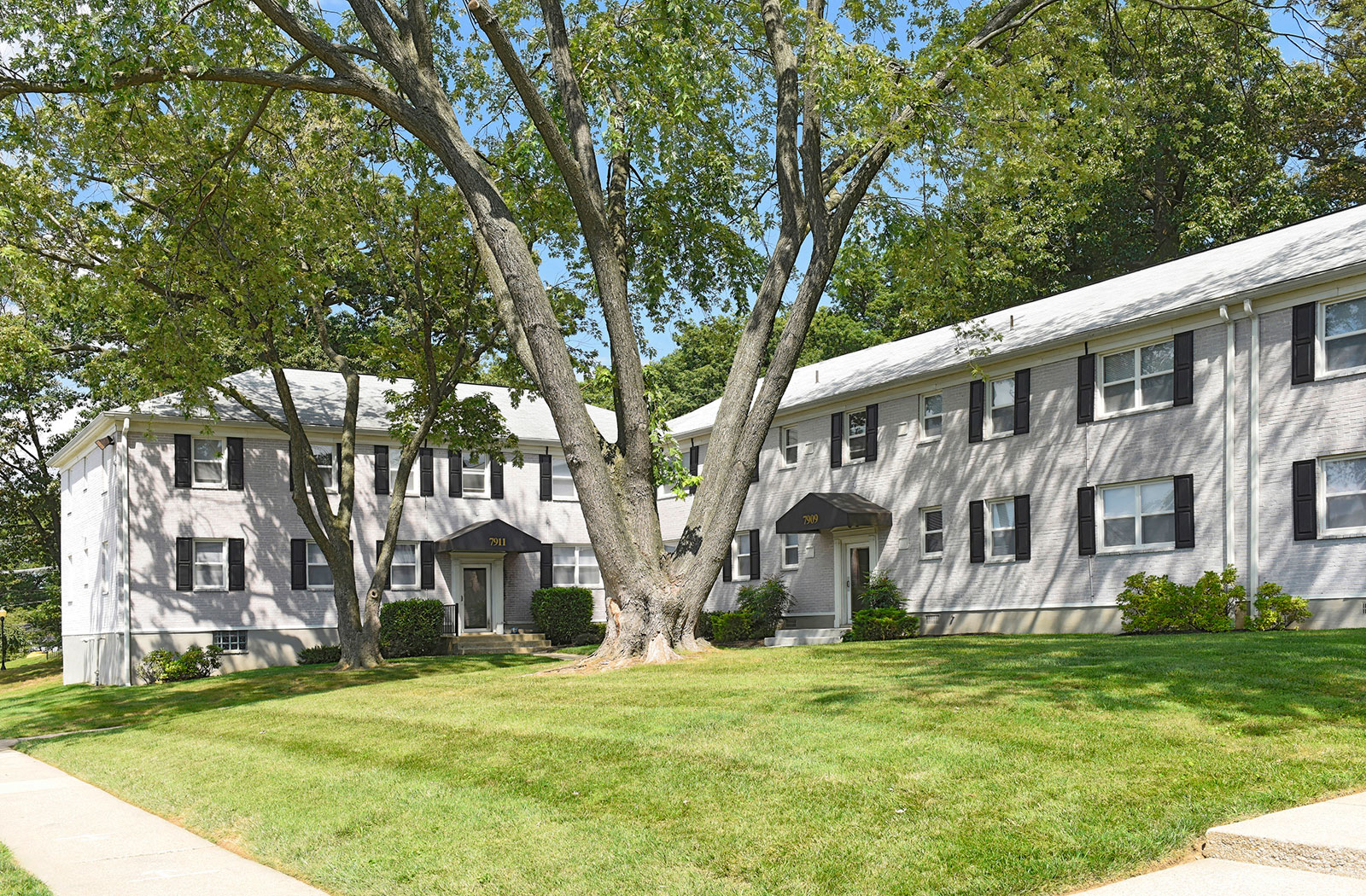 Donnybrook Apartments Photo