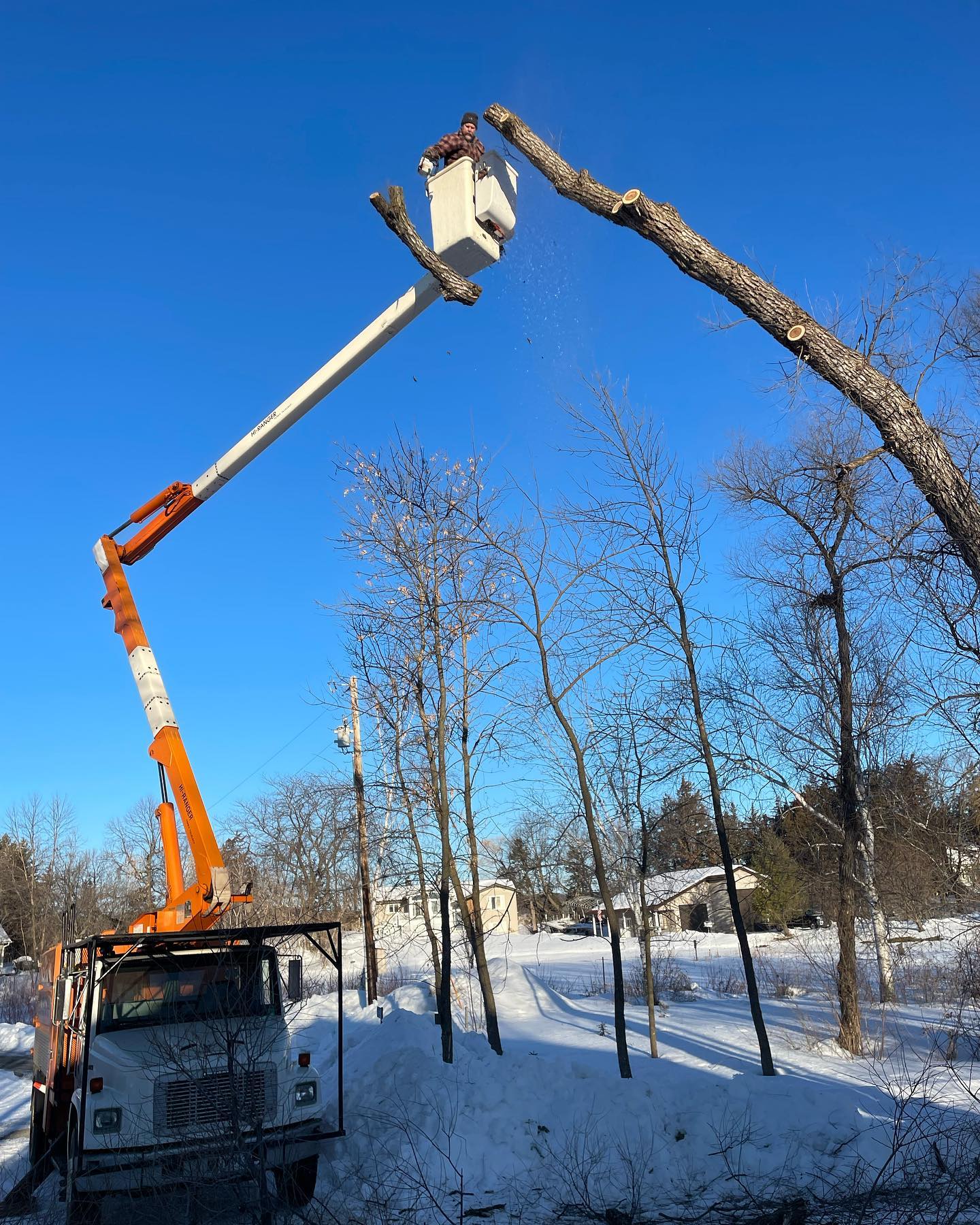 Norgren Tree Services Inc Logo