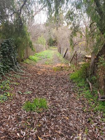 Tree service in San Jose, CA. Tree service in San Jose, CA.