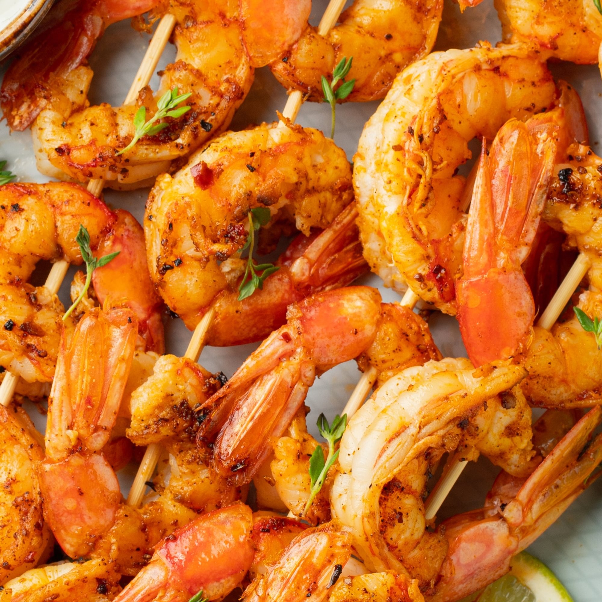 Shrimp