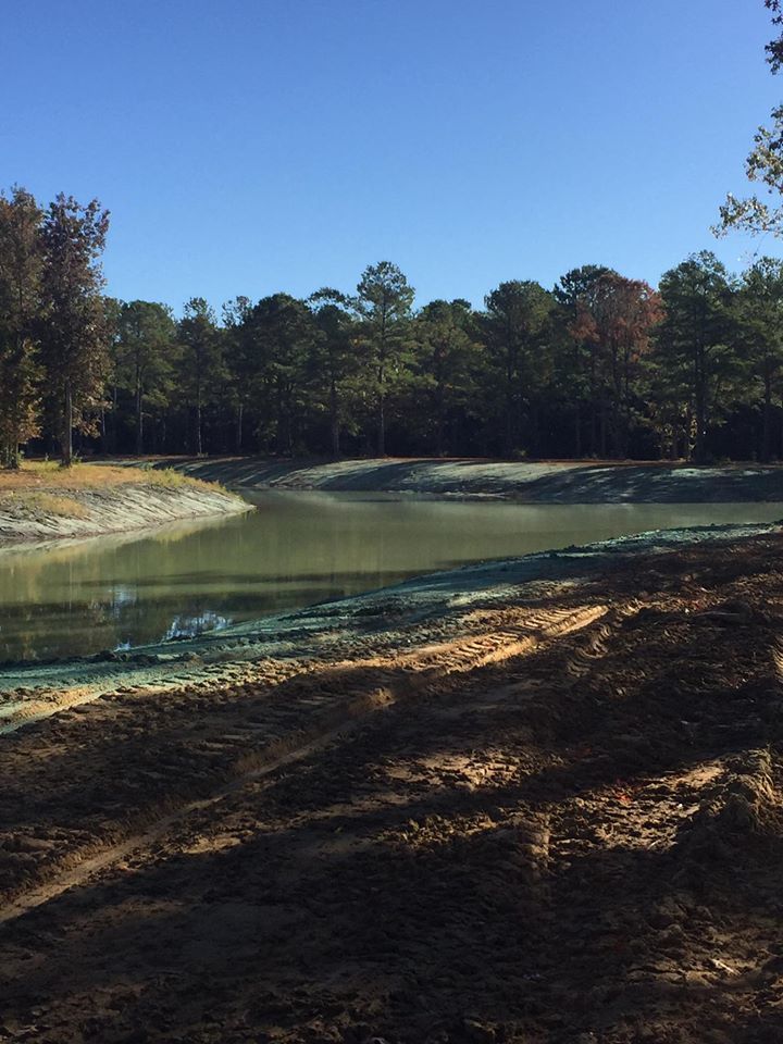 Charleston Green Logo