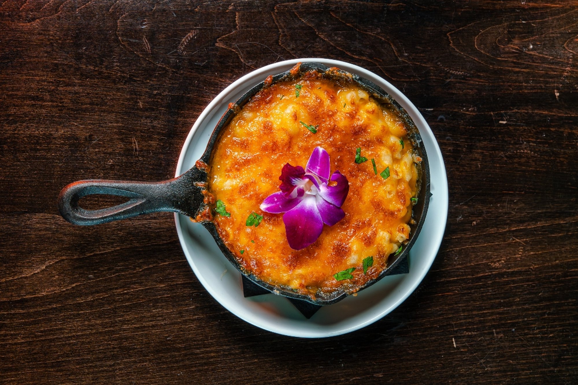 Regular Mac & Cheese