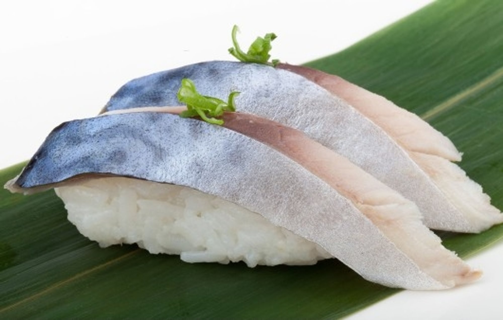 Mackerel