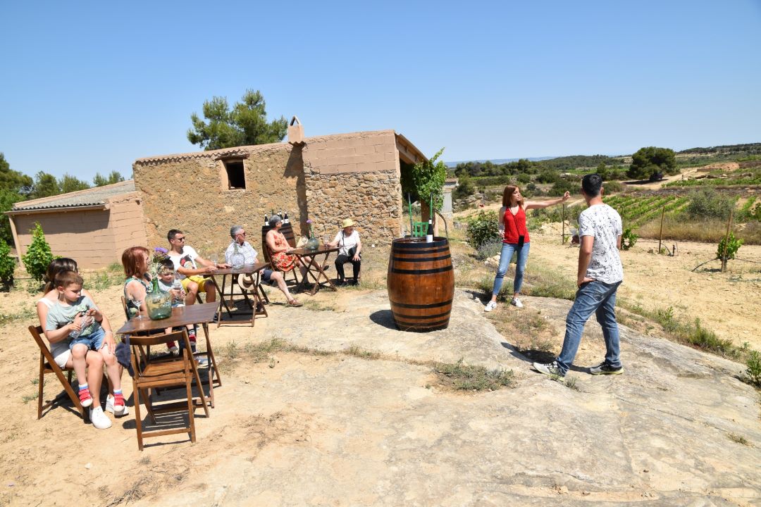 Galería en miniatura