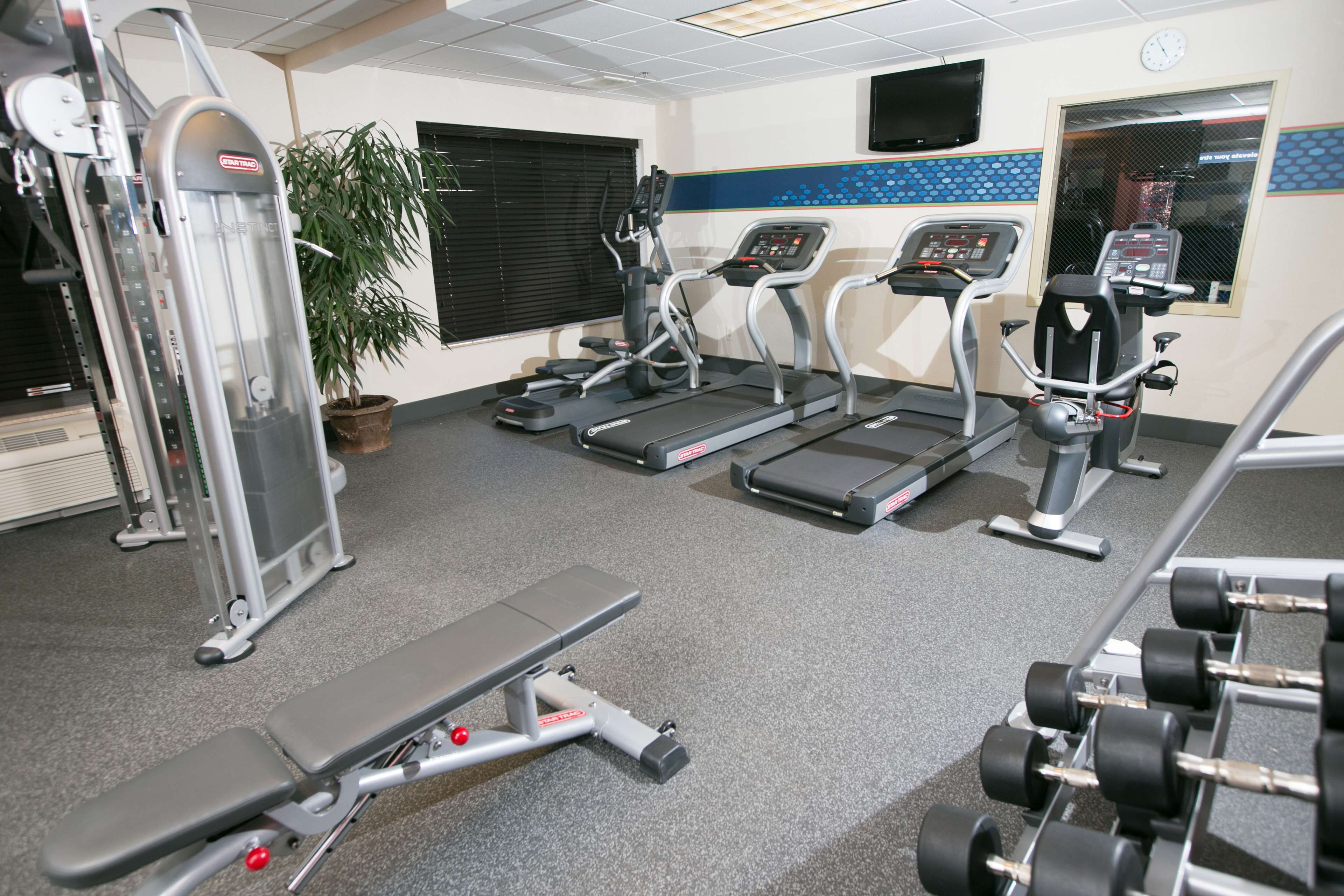 Health club  fitness center  gym