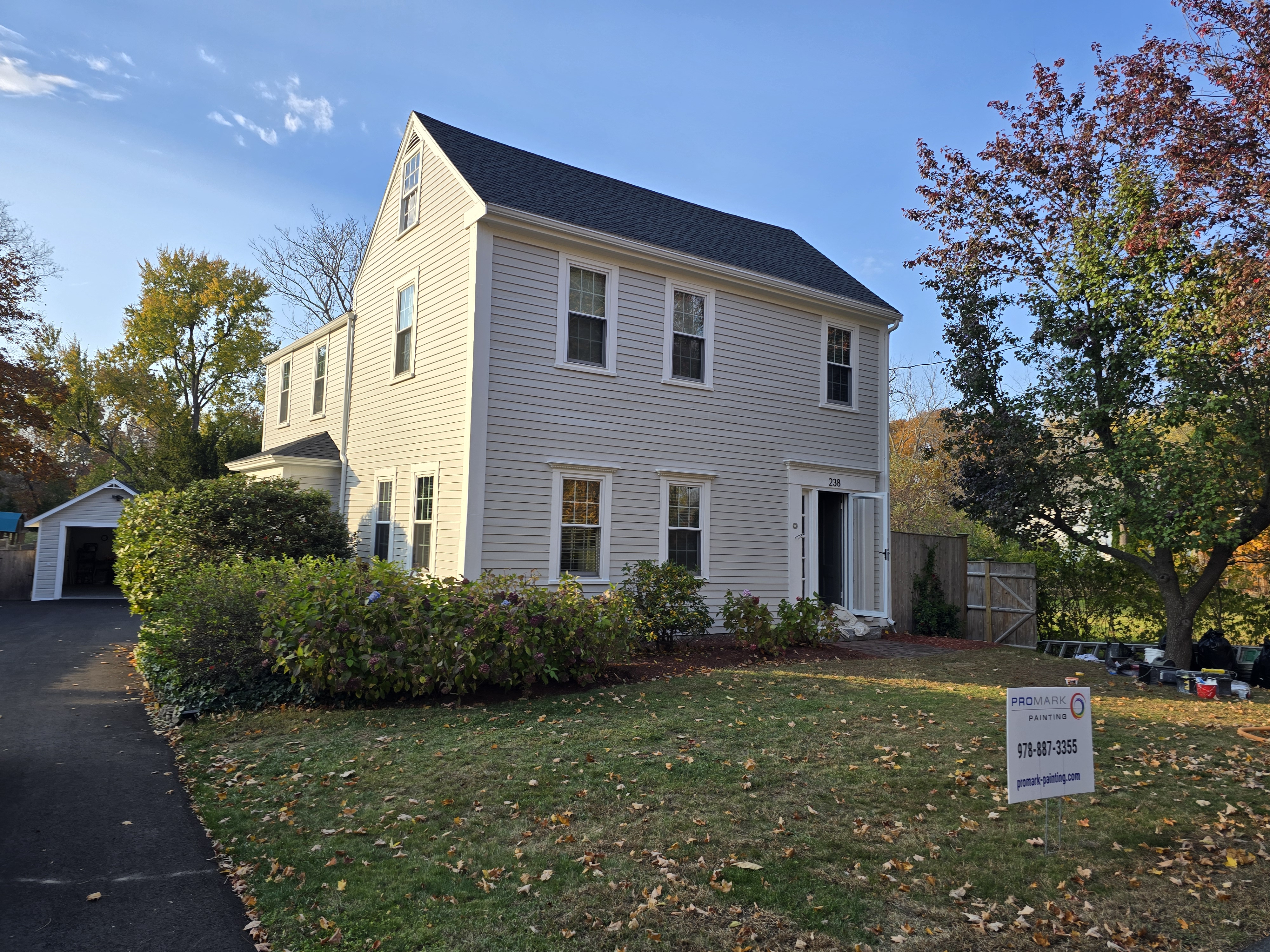 Promark Painting Image