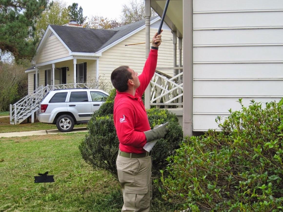 Triangle Pest Control Image