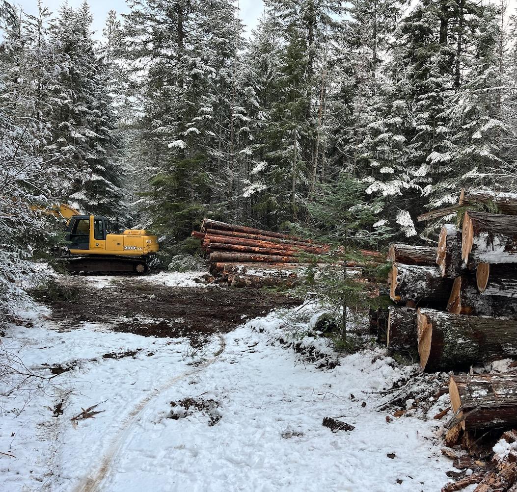 Timber Valley Tree Co. Image