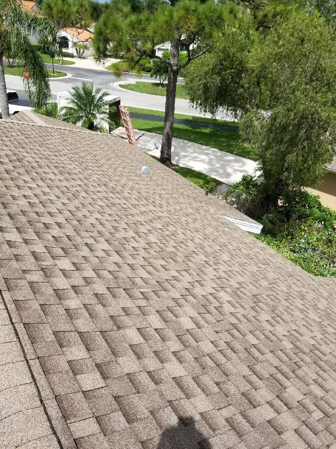 Zero Pressure Roof Cleaning Photo