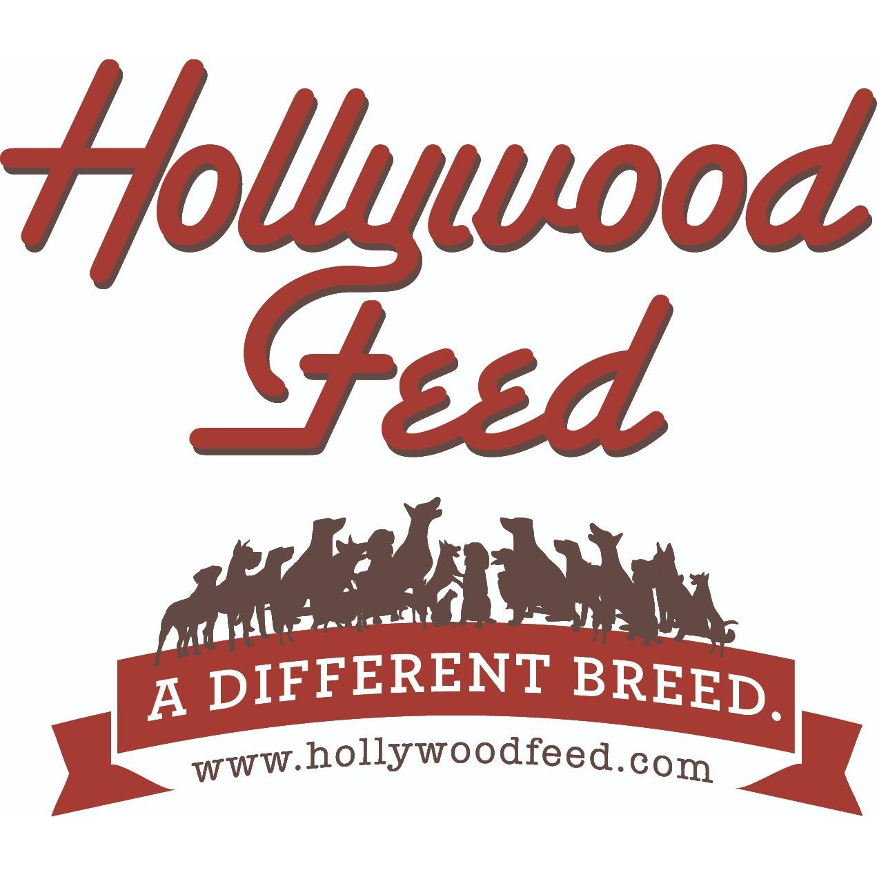 Hollywood Feed Photo