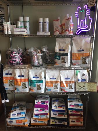 Images Cat Care PC of Rochester Hills