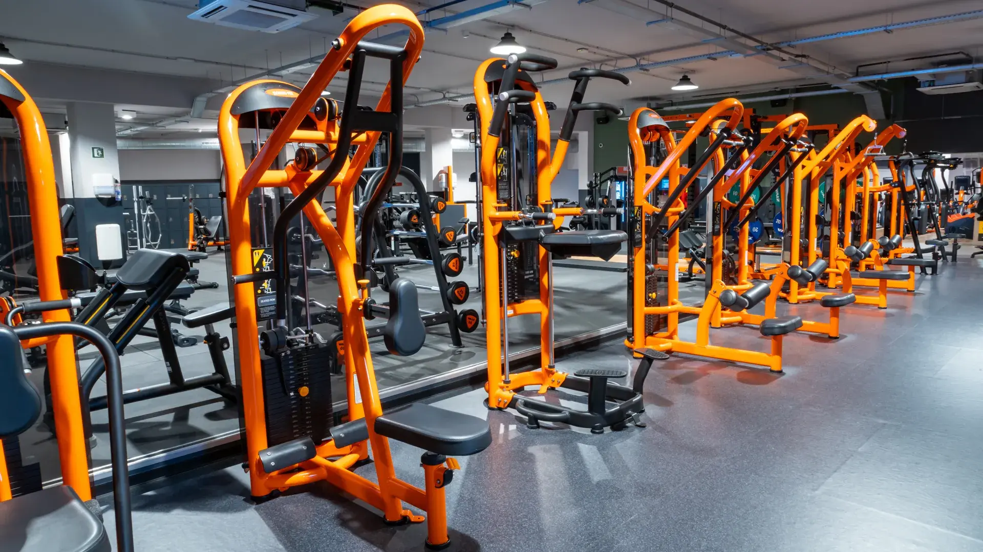 Galería de imágenes