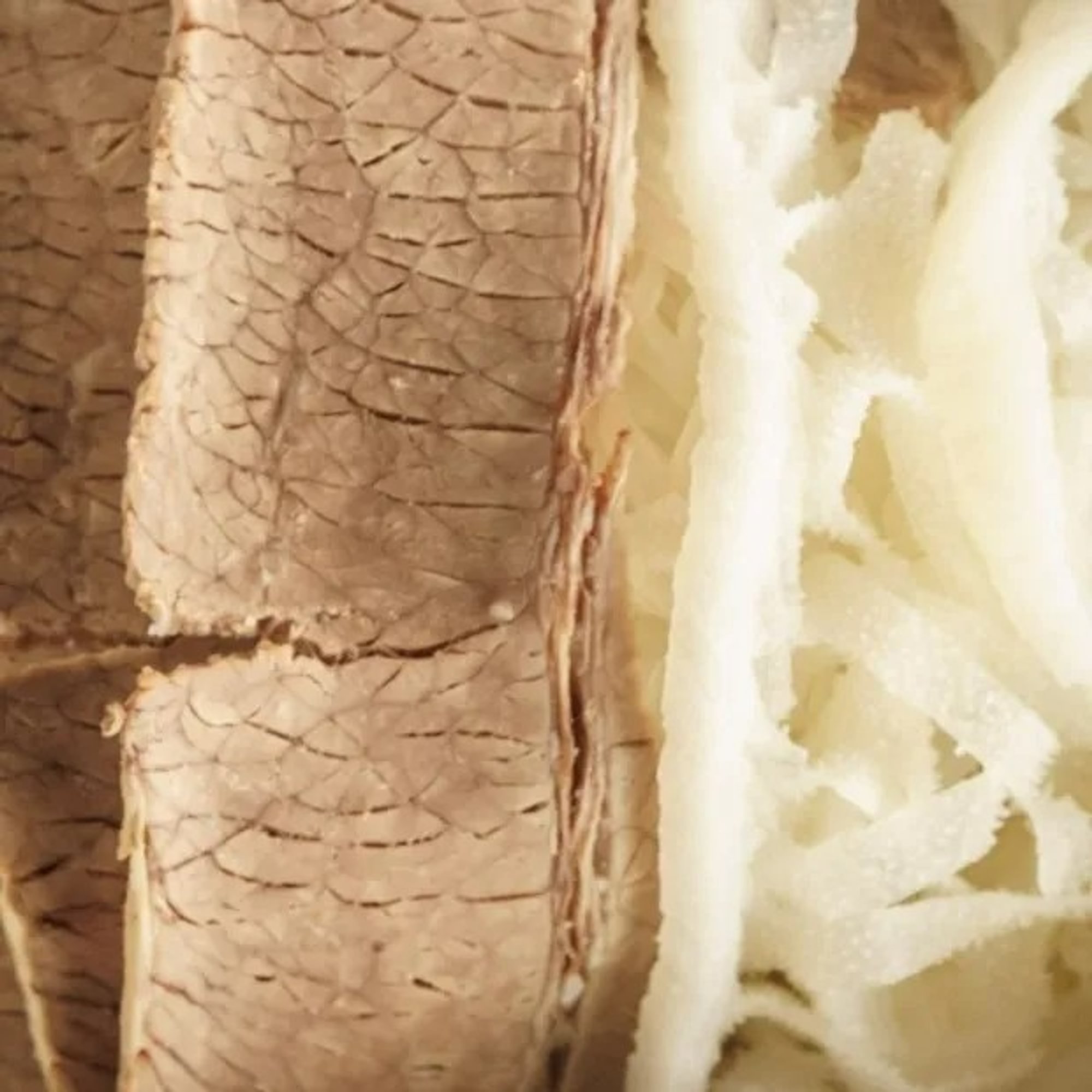 Well Done Brisket & Tripe (Chin Sach)