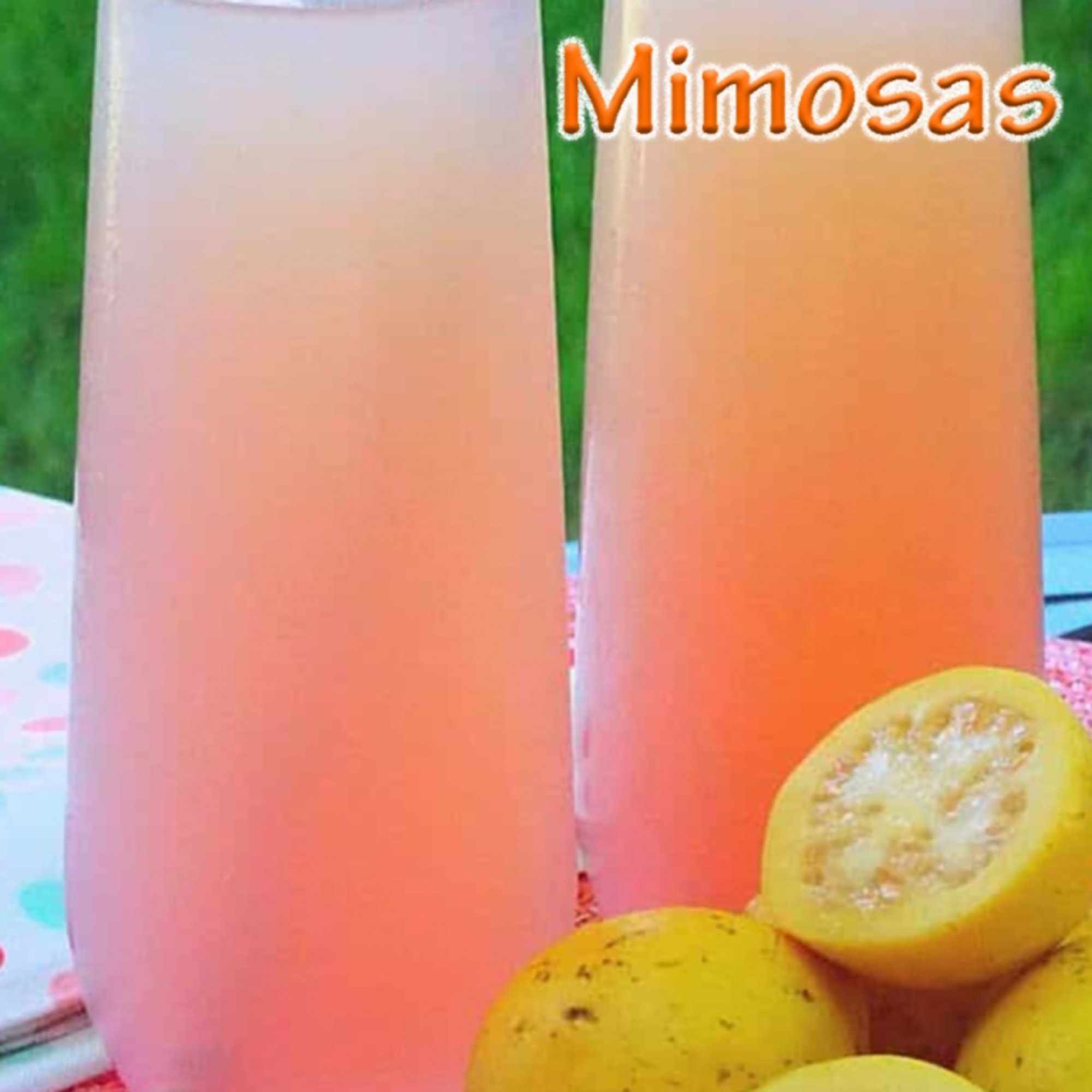 Guava Mimosa